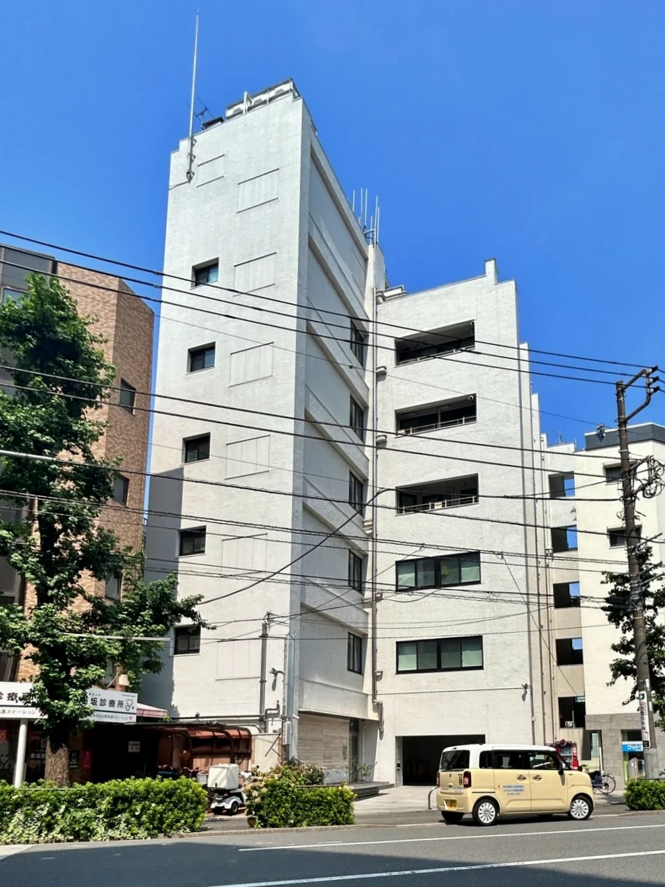 コイシカワコロン(Koishikawa:) 6 外観 1
