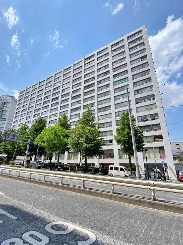 湯島ハイタウン(A棟) 11 外観 3