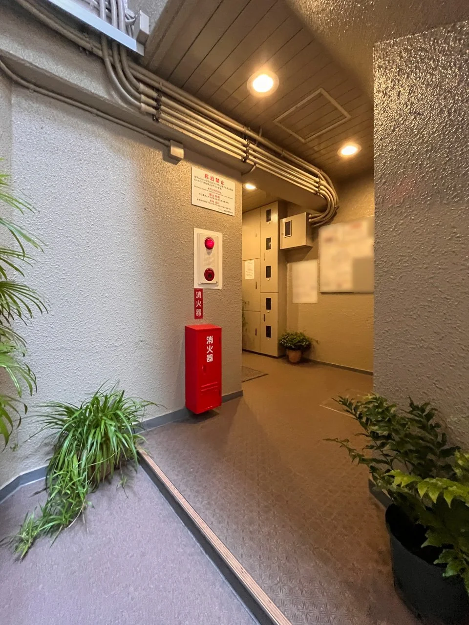 サムネイル8