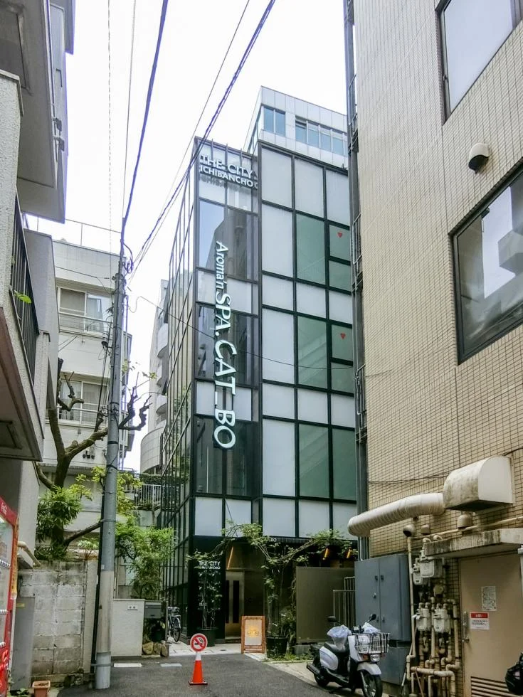 ザ・シティ一番町 B1 外観 1
