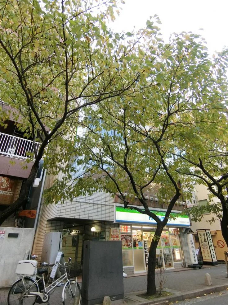 サンジュ共和十番館 2 オフィスビル外観 2