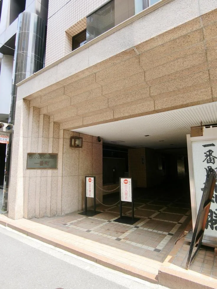 グランドメゾン一番町ビル 9 ビルエントランス 3