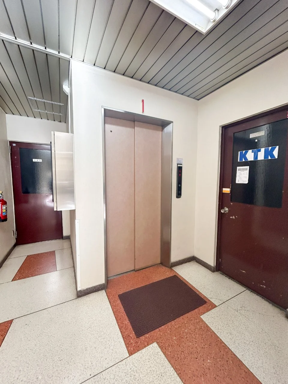 ヤマギビル - 画像1