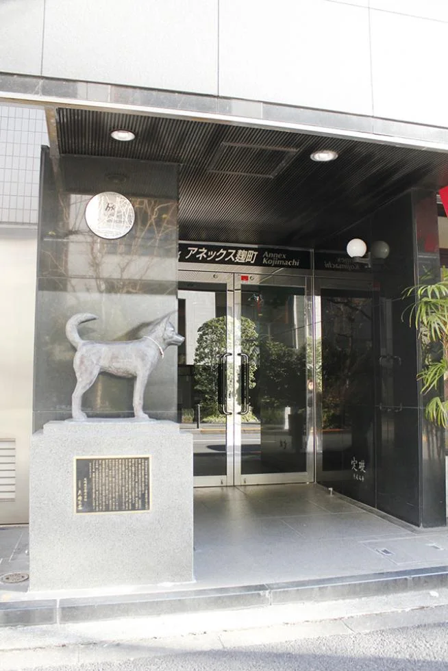 アネックス麹町ビル 5 ビルエントランス 3