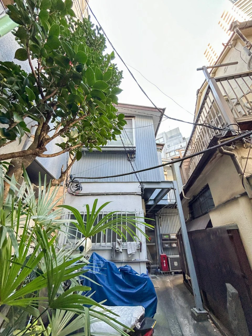 ハーモニー本館 2 外観 1