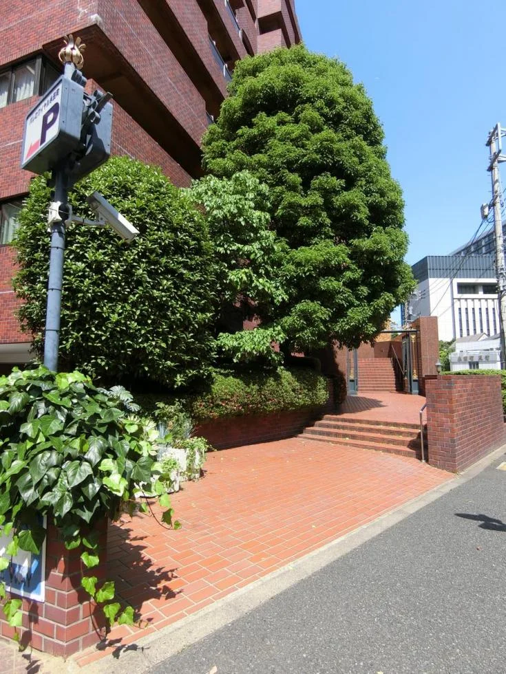 パレ・ロワイヤル永田町(パレロワイヤル永田町) 7 ビルエントランス 6