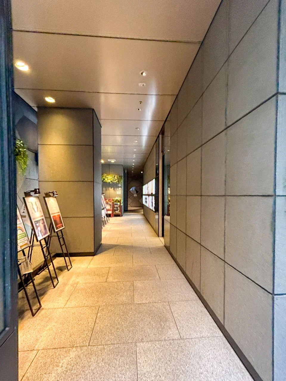 アルボーレ銀座(ALBORE GINZA) 8 エントランス 3