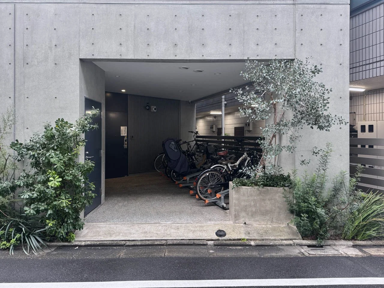 AREA M 5 エントランス 3