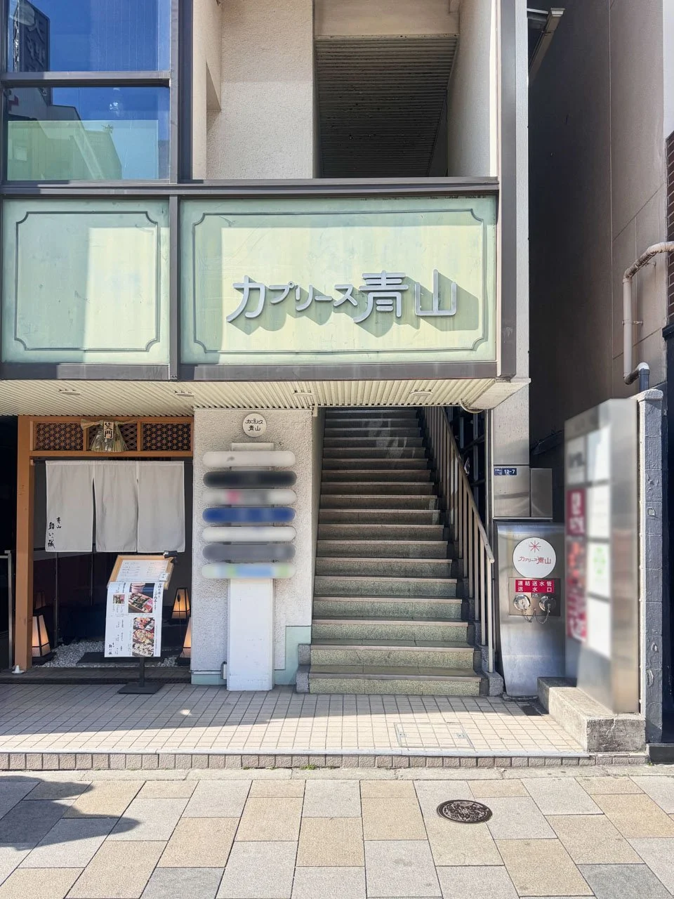 カプリース青山ビル 11 エントランス 3
