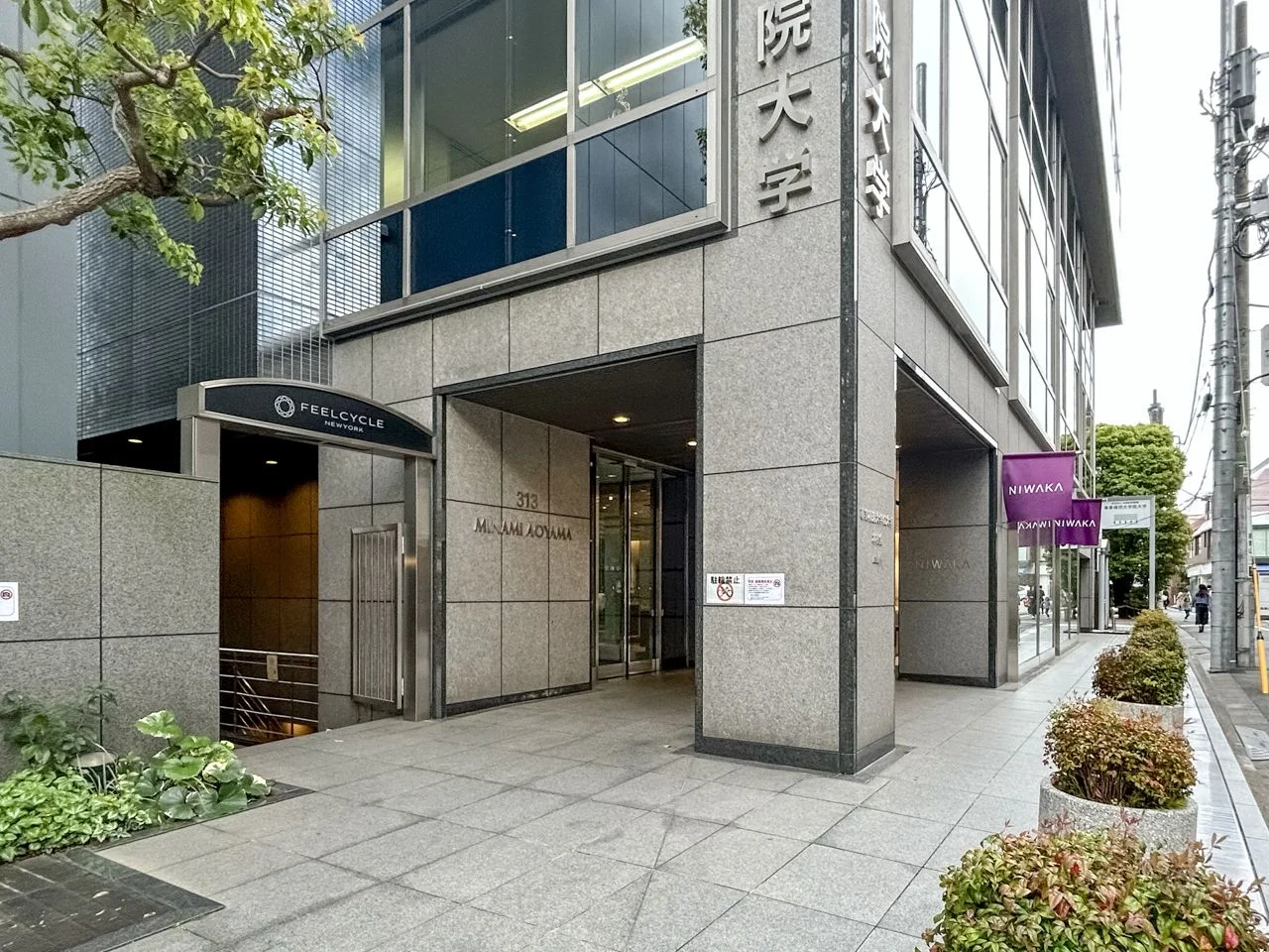313南青山ビル 5 エントランス 3