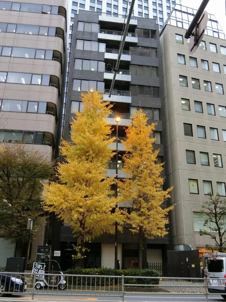 神谷町アネックス2号館 B1 外観 2