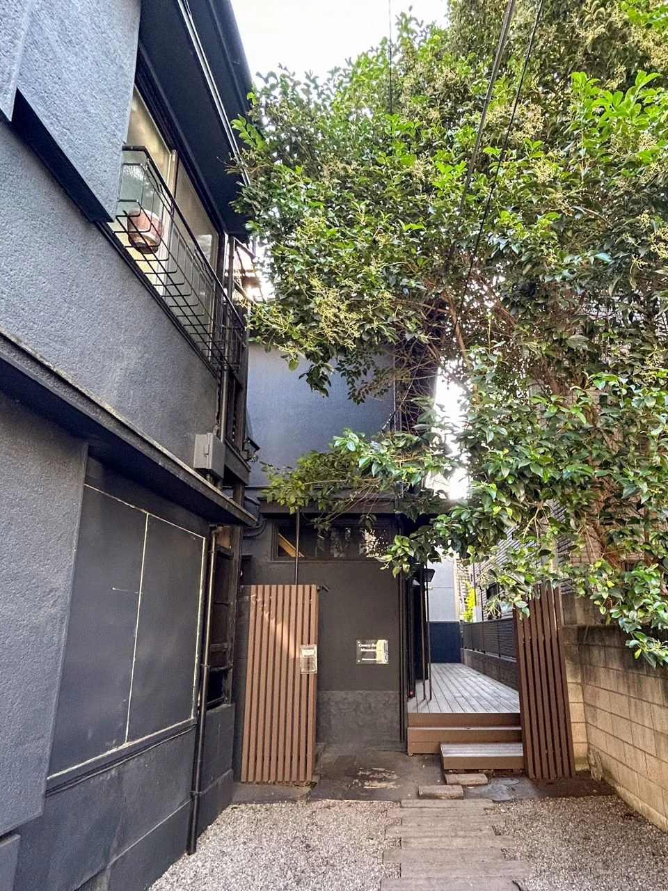 センチュリーハイツ南青山パート2 1