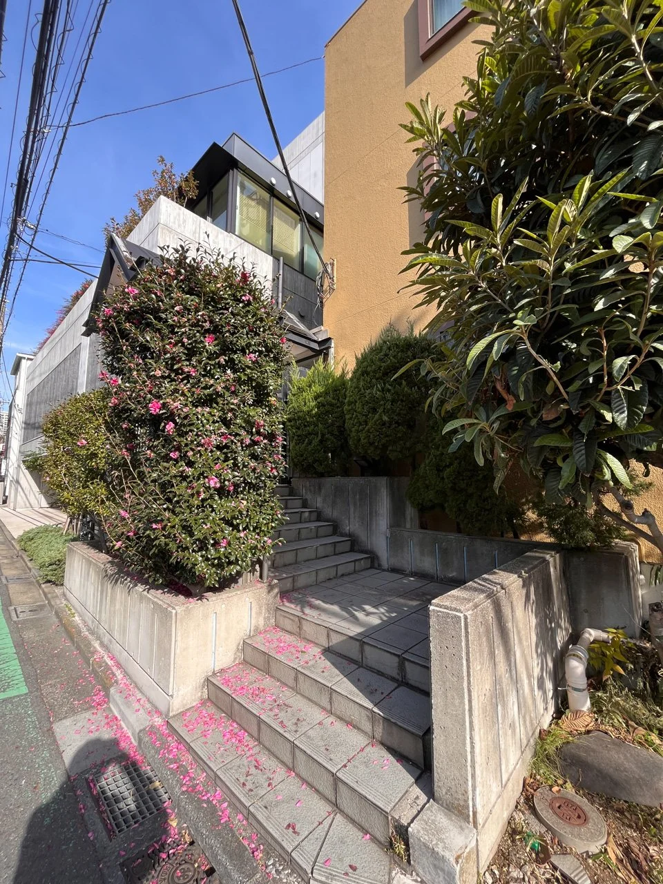 コトー高輪ビル - 画像1