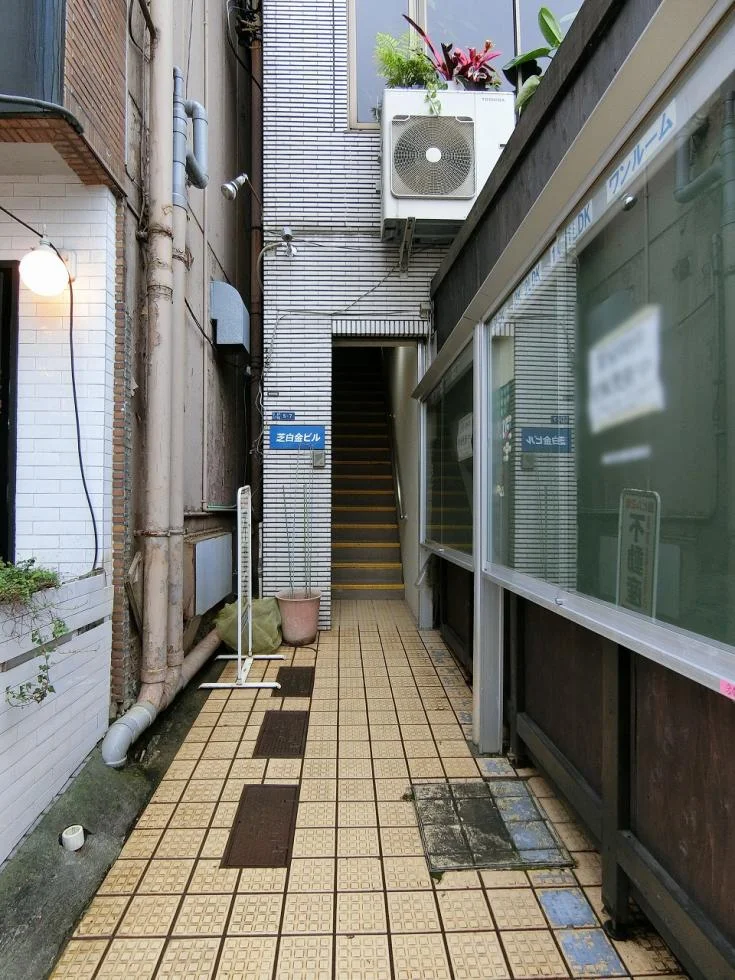 芝白金ビル 1 エントランス 3