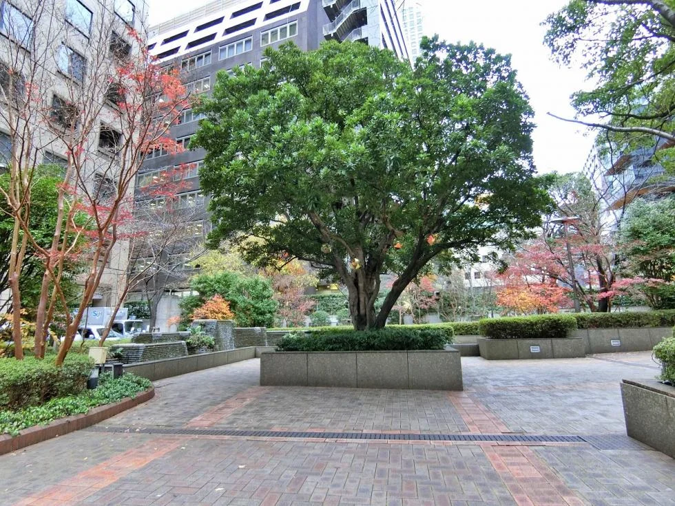 神谷町MTビル 3 - 画像5