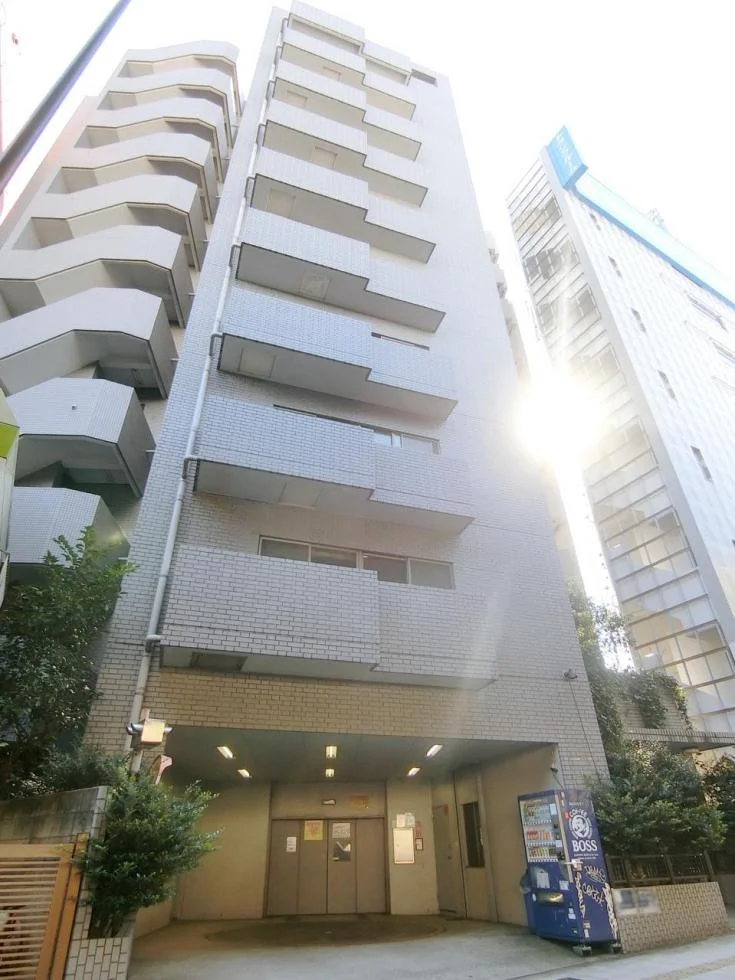 スカイビュー246 1 外観 1