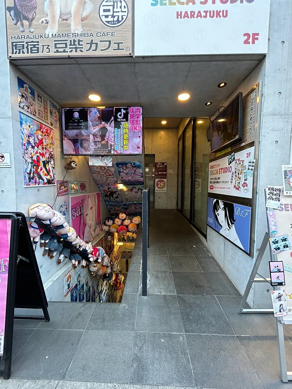 モダンフォルム原宿パートⅠビル 2 エントランス 3