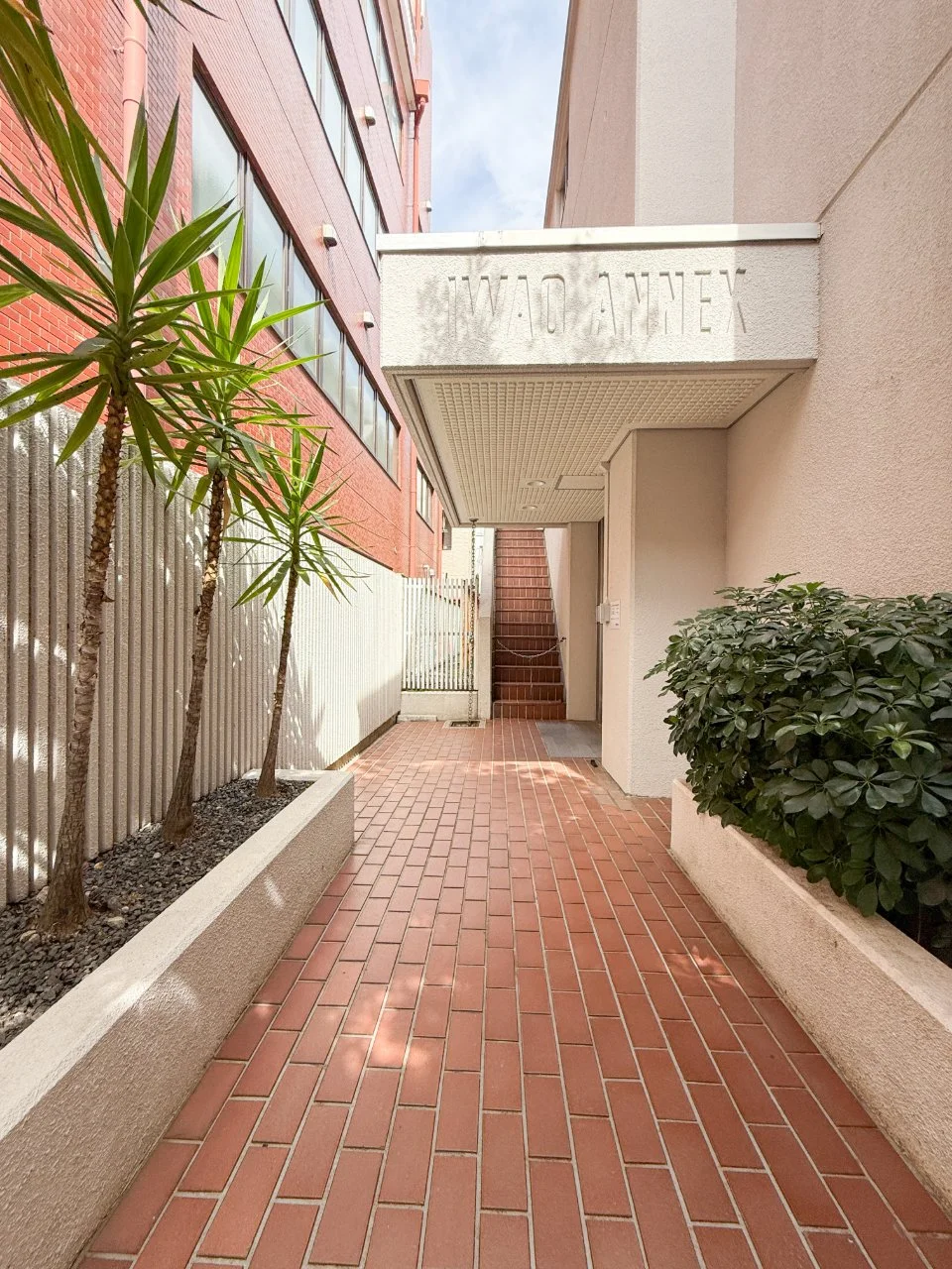 イワオアネックス - 画像1