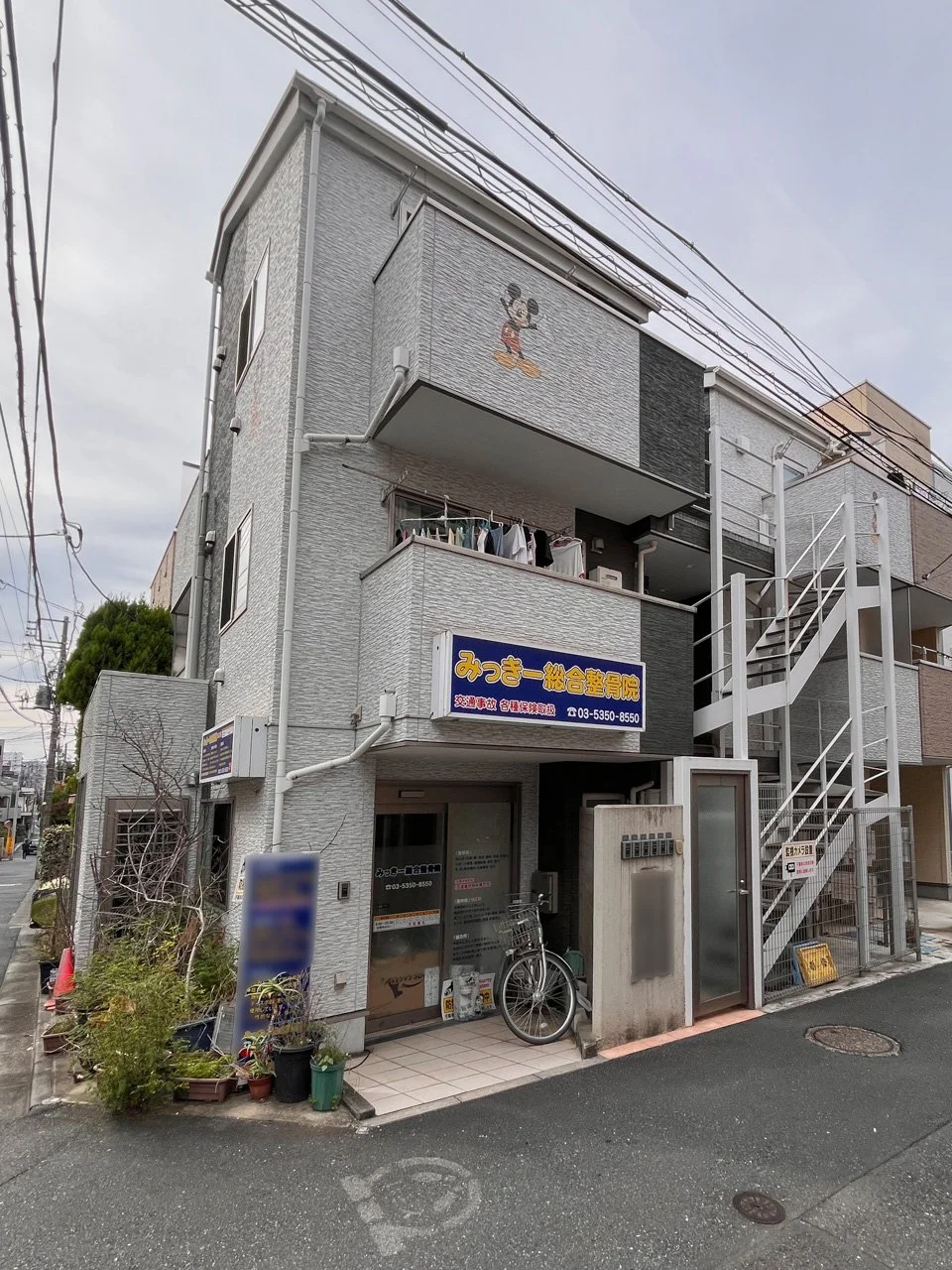 ファレノプシス 2 外観 1