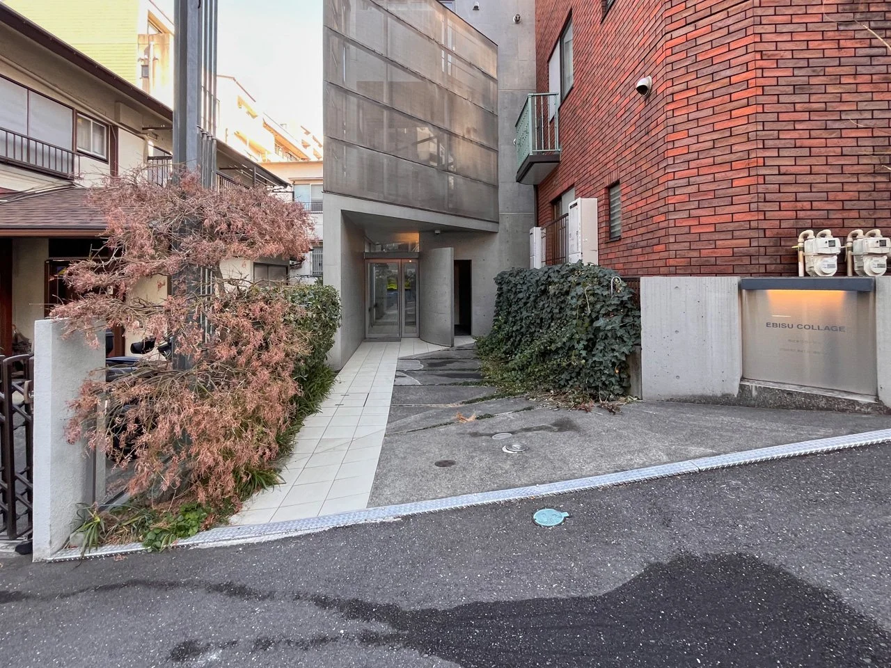 恵比寿コラージュビル 2 エントランス 3