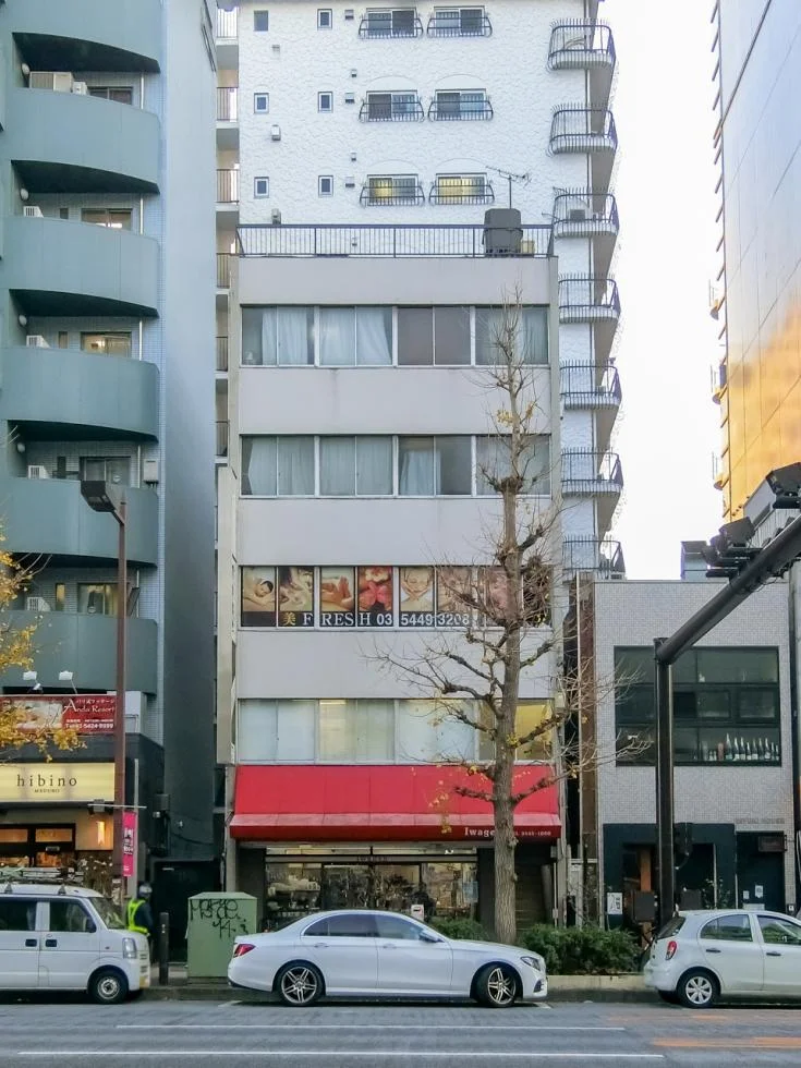 イワゲンビル 3 外観 1