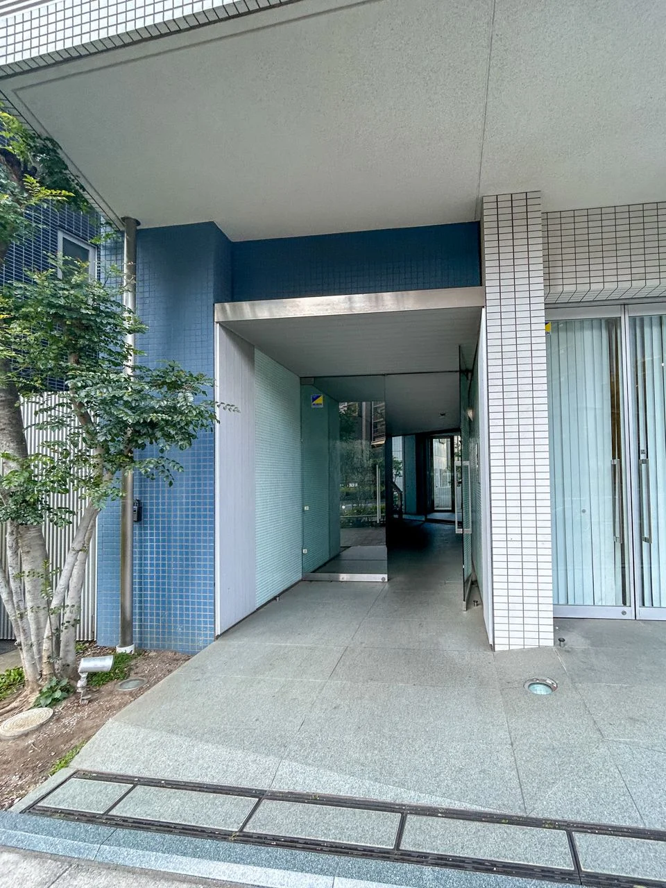 ミテッツァ西新宿ビル 1 ビルエントランス 5