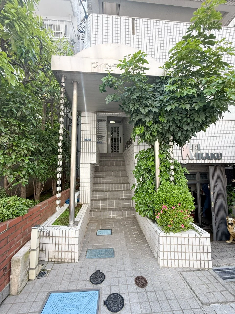 ヴィエッティ西新宿 2 エントランス 3