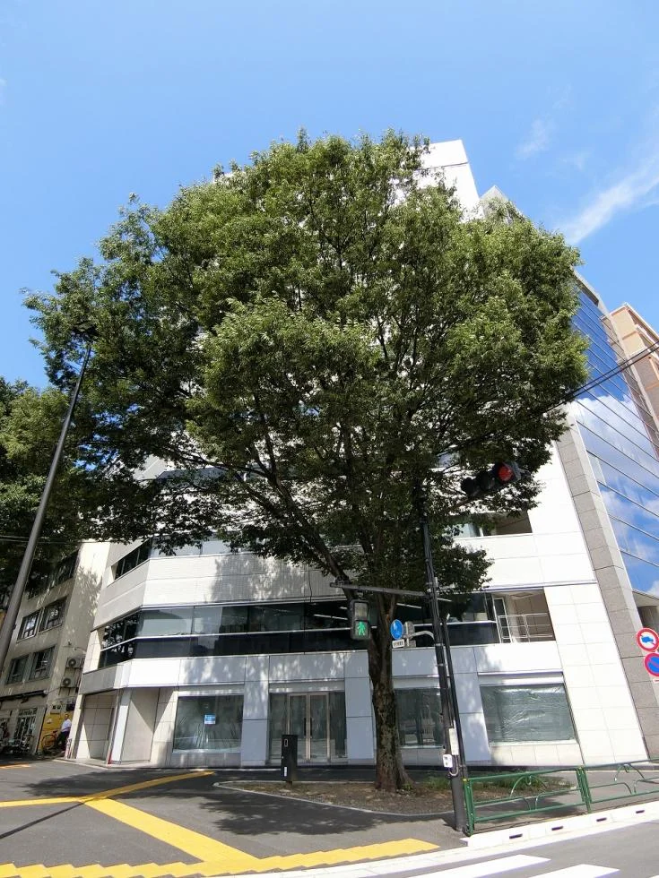 新宿土地建物(株)第11ビル 4 オフィスビル外観 2