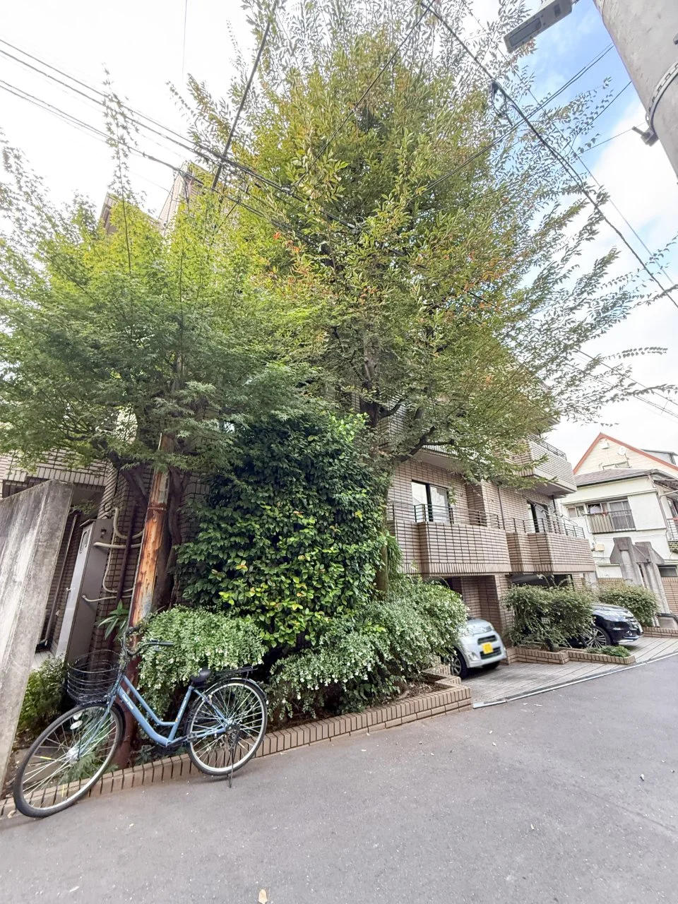 グランドメゾン北新宿 1 外観 1