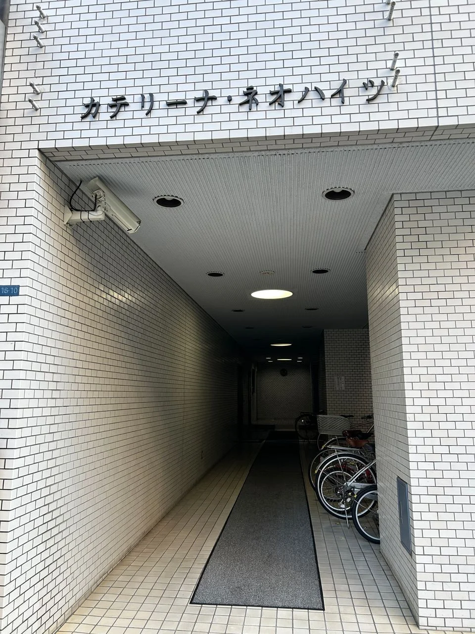 コスモス御苑(カテリーナネオハイツ) 3 ビルエントランス 3