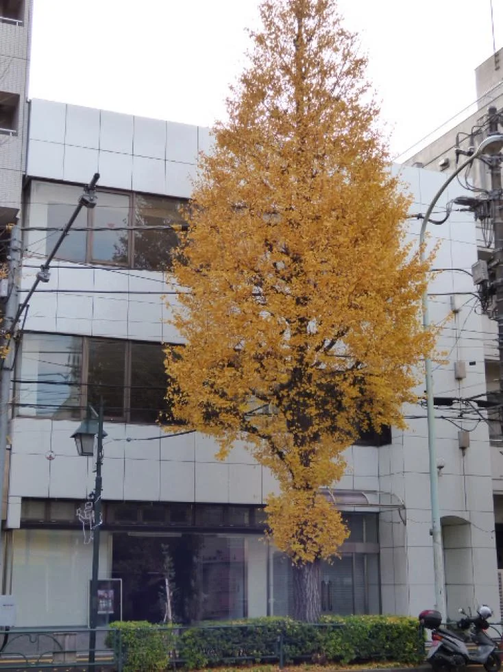 井口ビル 一棟貸し 外観 1