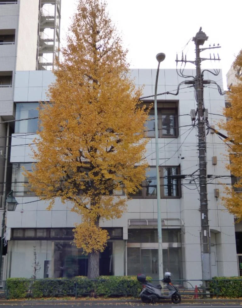 井口ビル 一棟貸し 外観 2