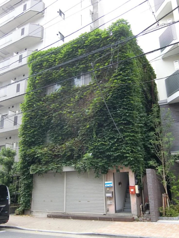 鈴木ビル 1 外観 2