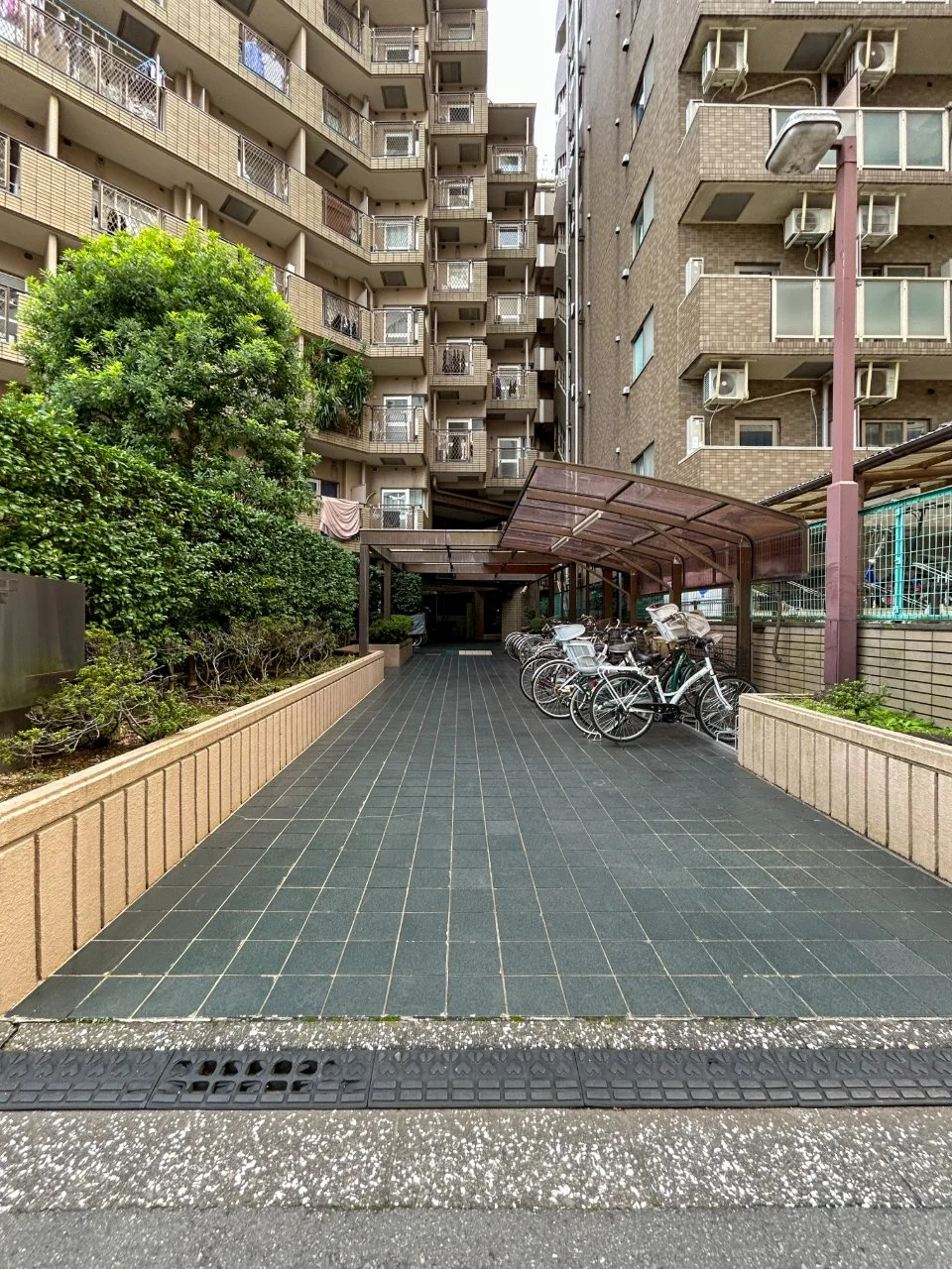 朝日プラザ東池袋ビル 1 エントランス 3