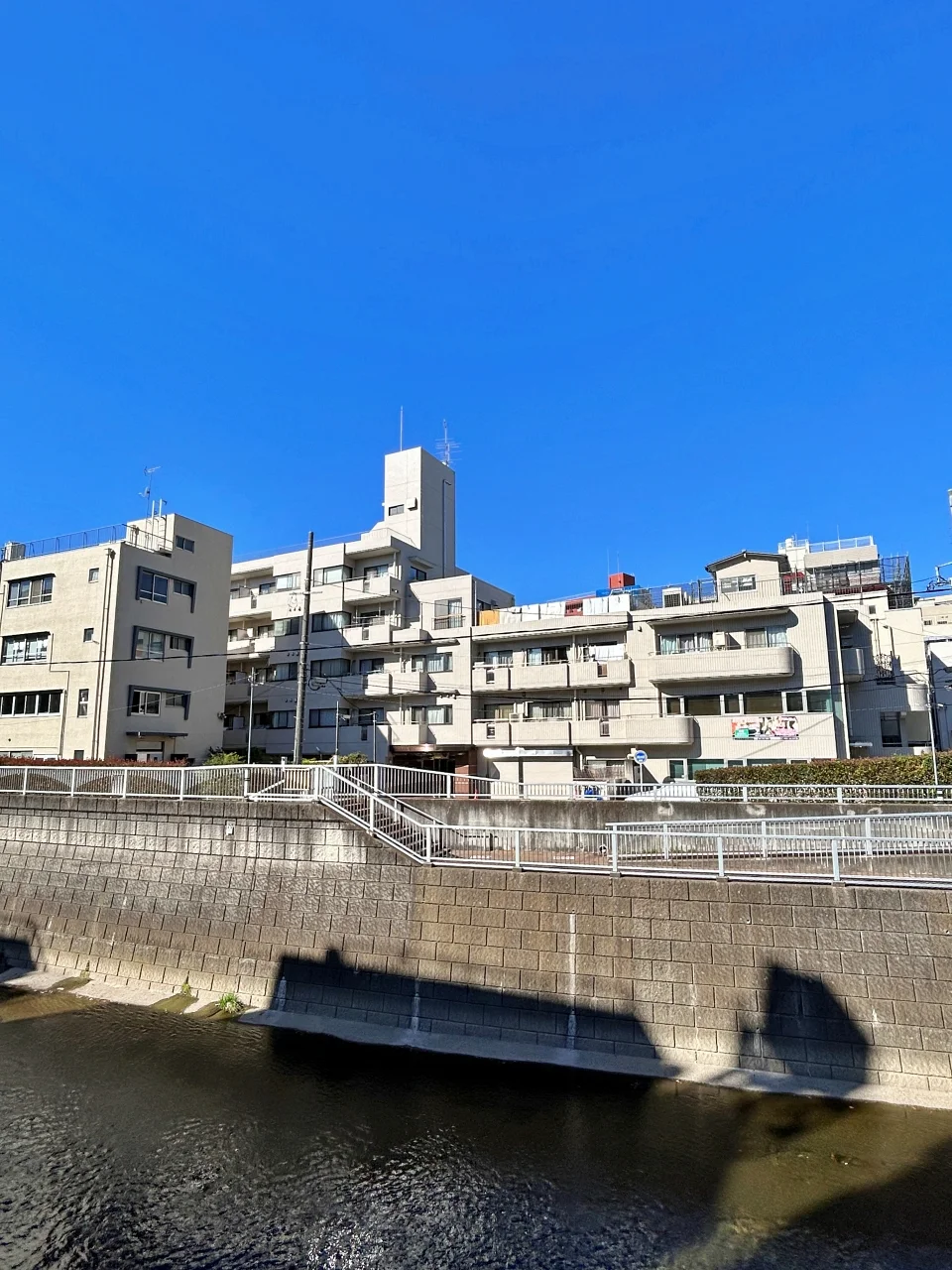 ロイヤルパーク高田ビル B1 外観 1