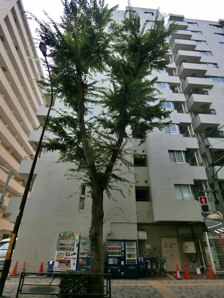 池袋シティハイツビル 3 外観 2