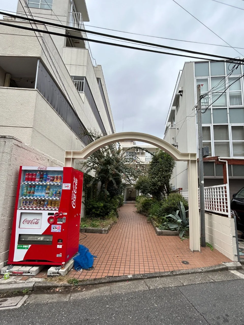 白鳥ハイツ 3 エントランス 3