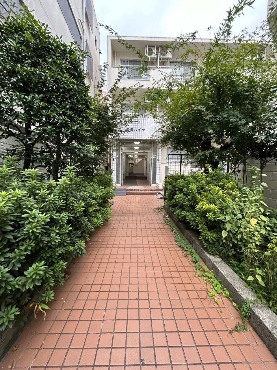 白鳥ハイツ 3 エントランス 4