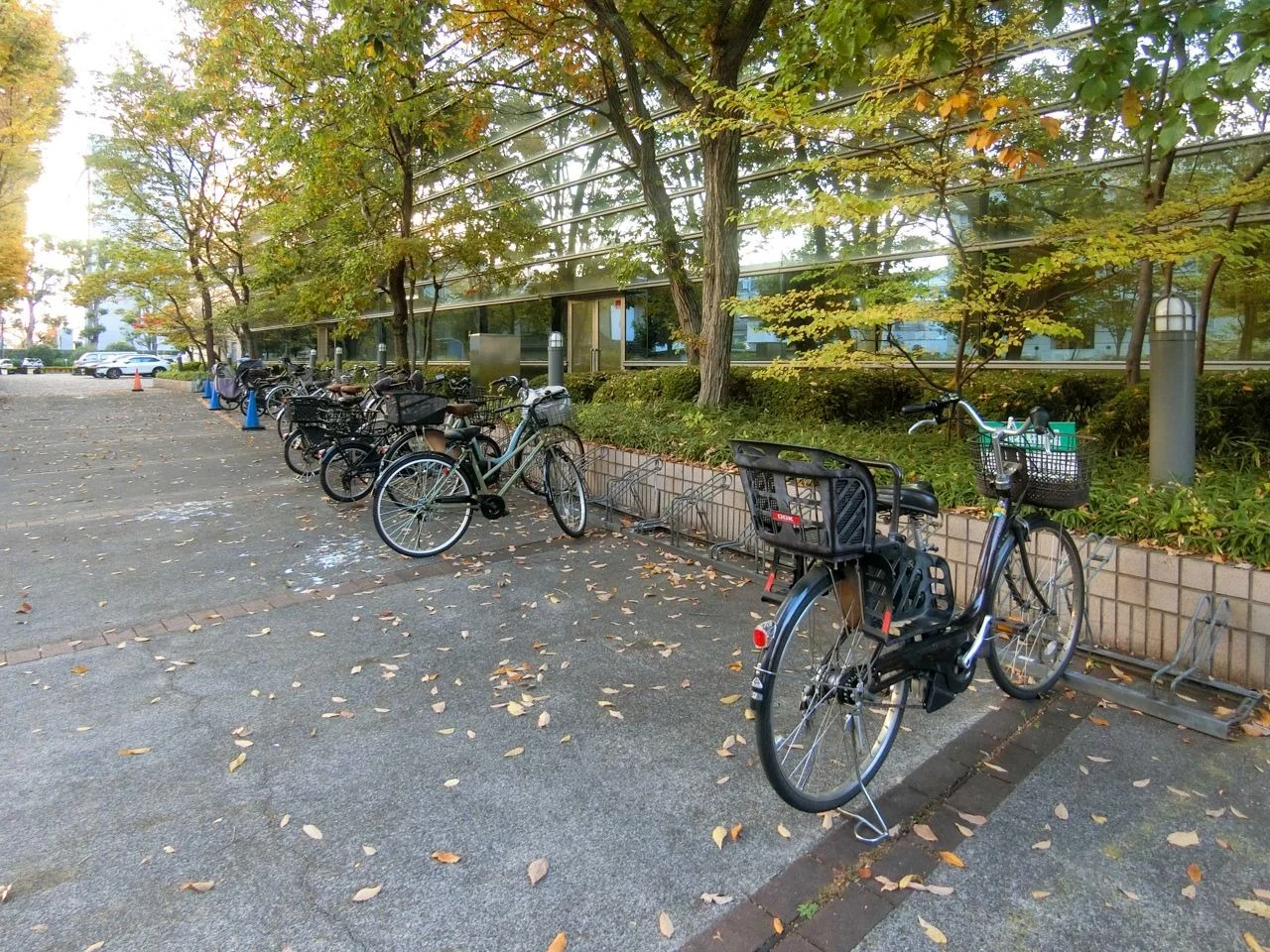 ヒューリック府中タワー 1 - 画像34