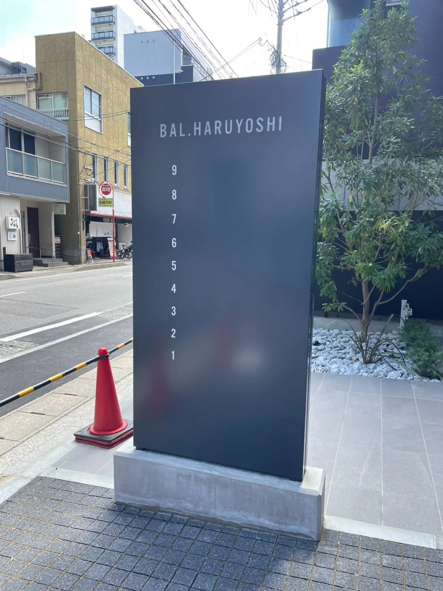 BAL.HARUYOSHI 6 - 画像28
