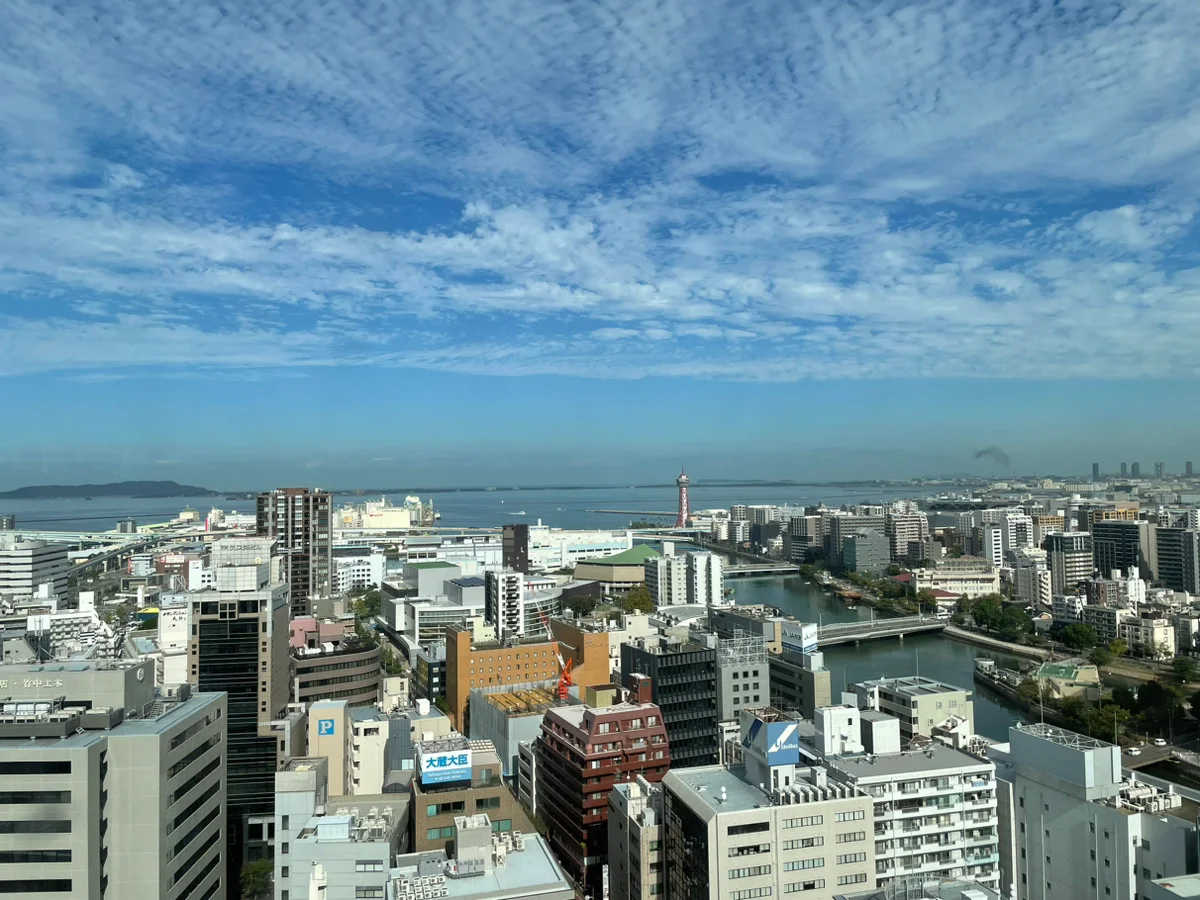 天神ブリッククロス 北棟 4 - 画像4